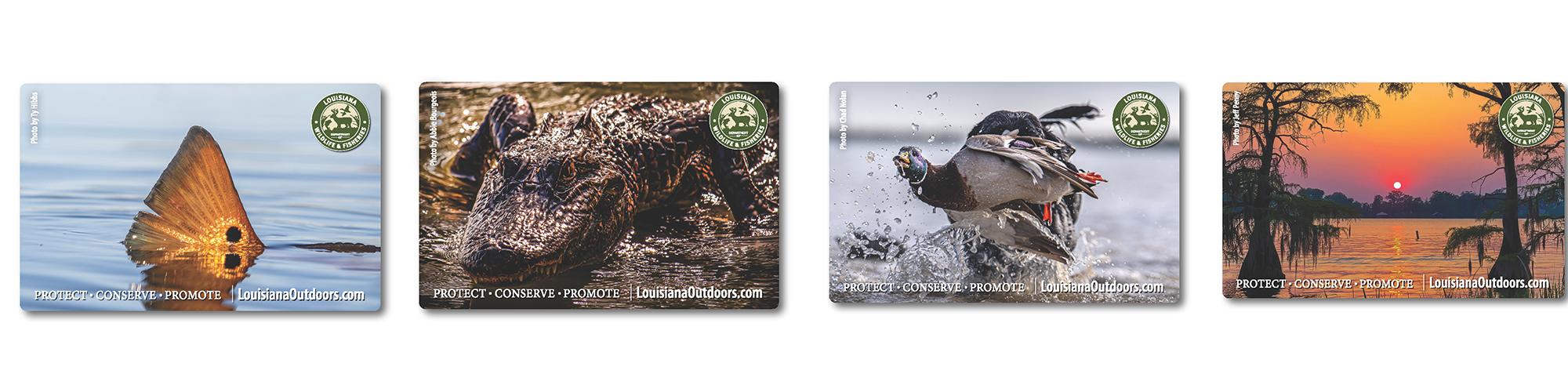 2025 LDWF Hard Cards