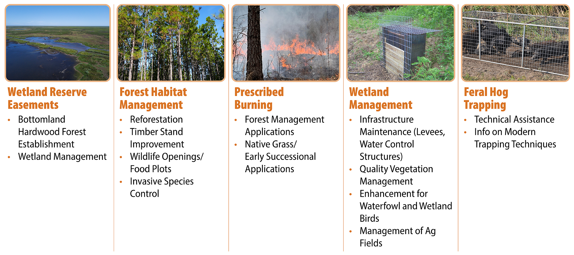 Private Land Managment Assistance Category graphic