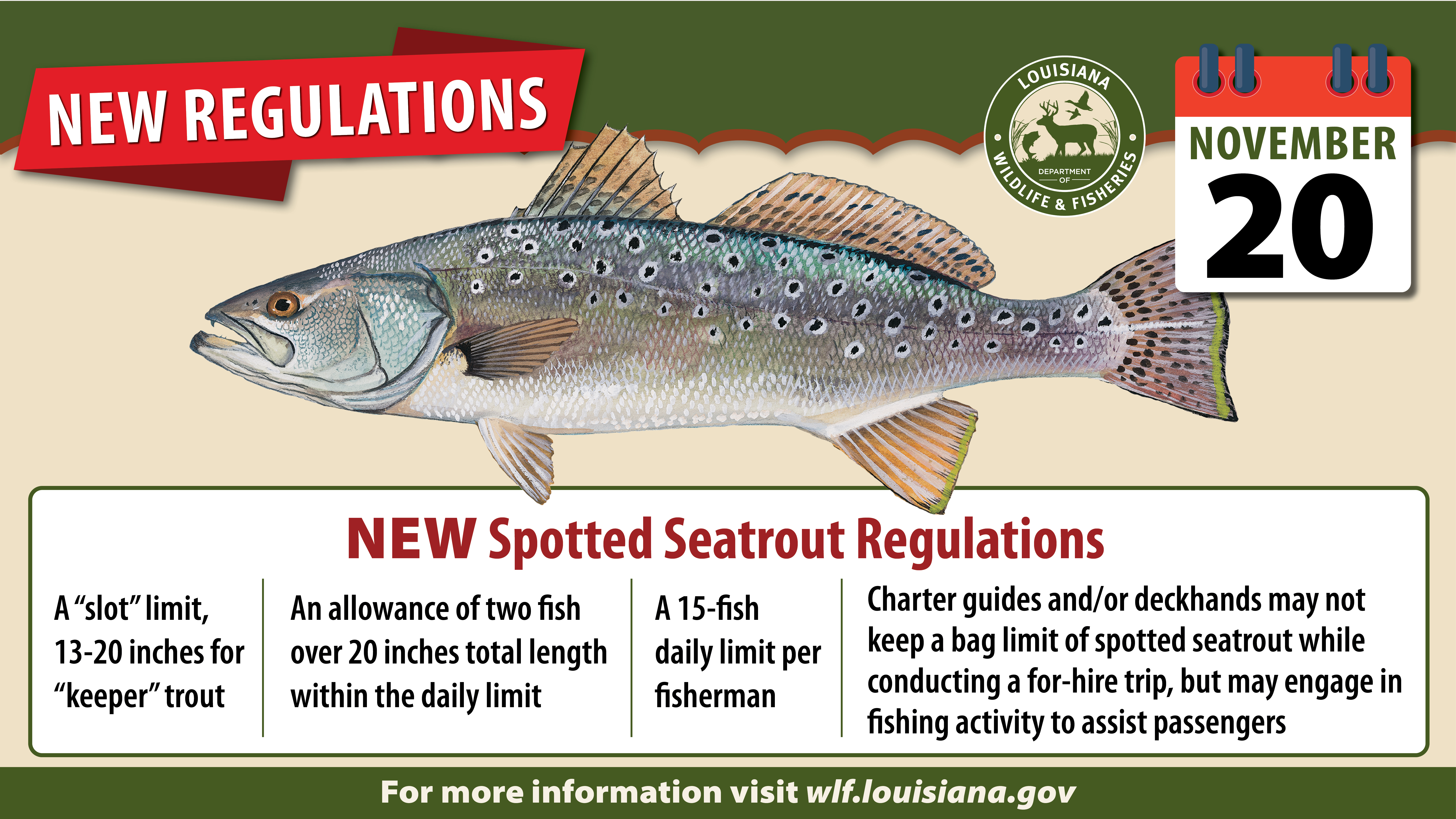 https://www.wlf.louisiana.gov/assets/Fishing/Recreational_Fishing/Images/1600x900-Spotted-Seatrout-Graphic-nov-3.jpg