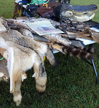 National Hunting and Fishing Day Pelt Display