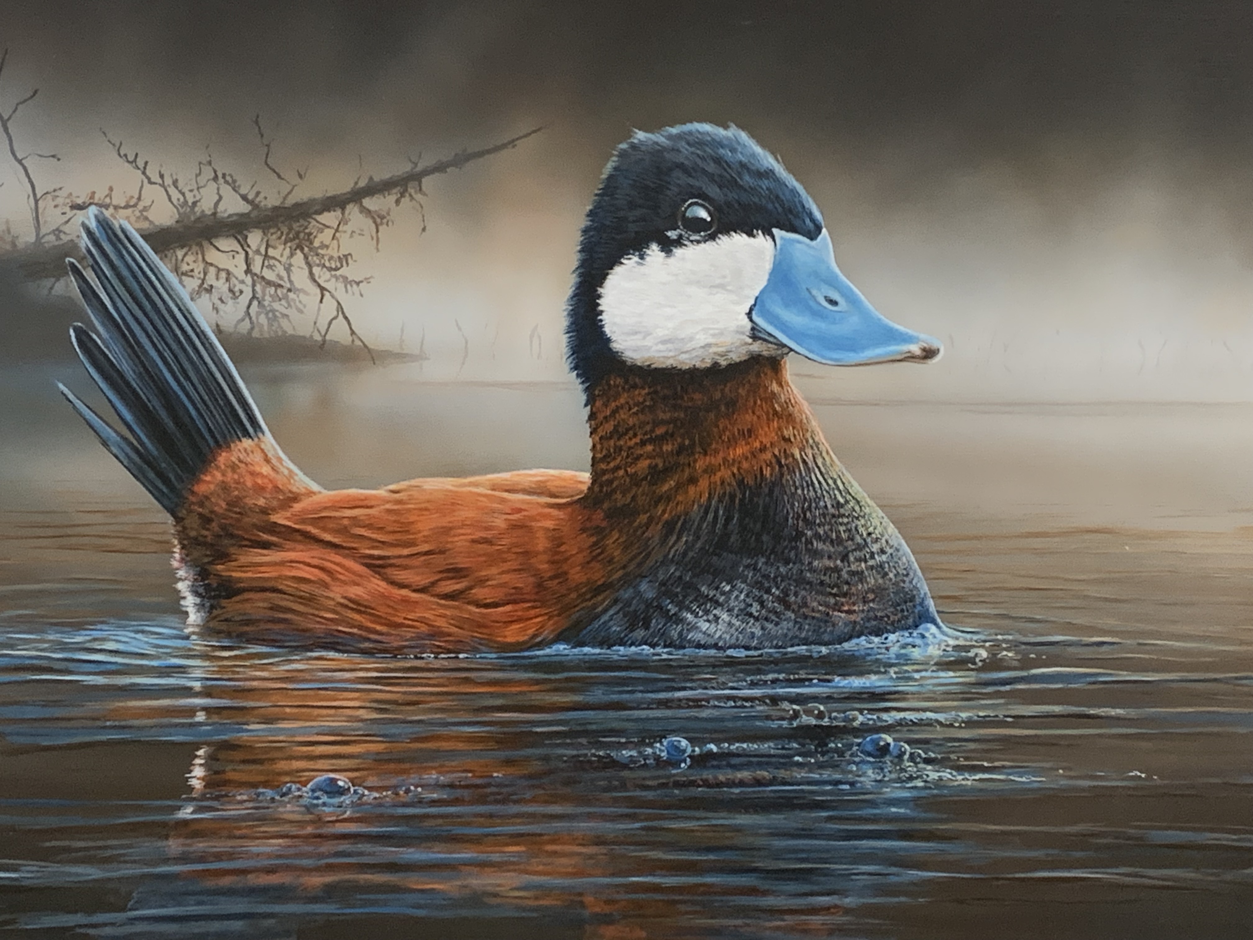 Anthony J. Padgett Wins 2024 Louisiana Waterfowl Conservation Stamp