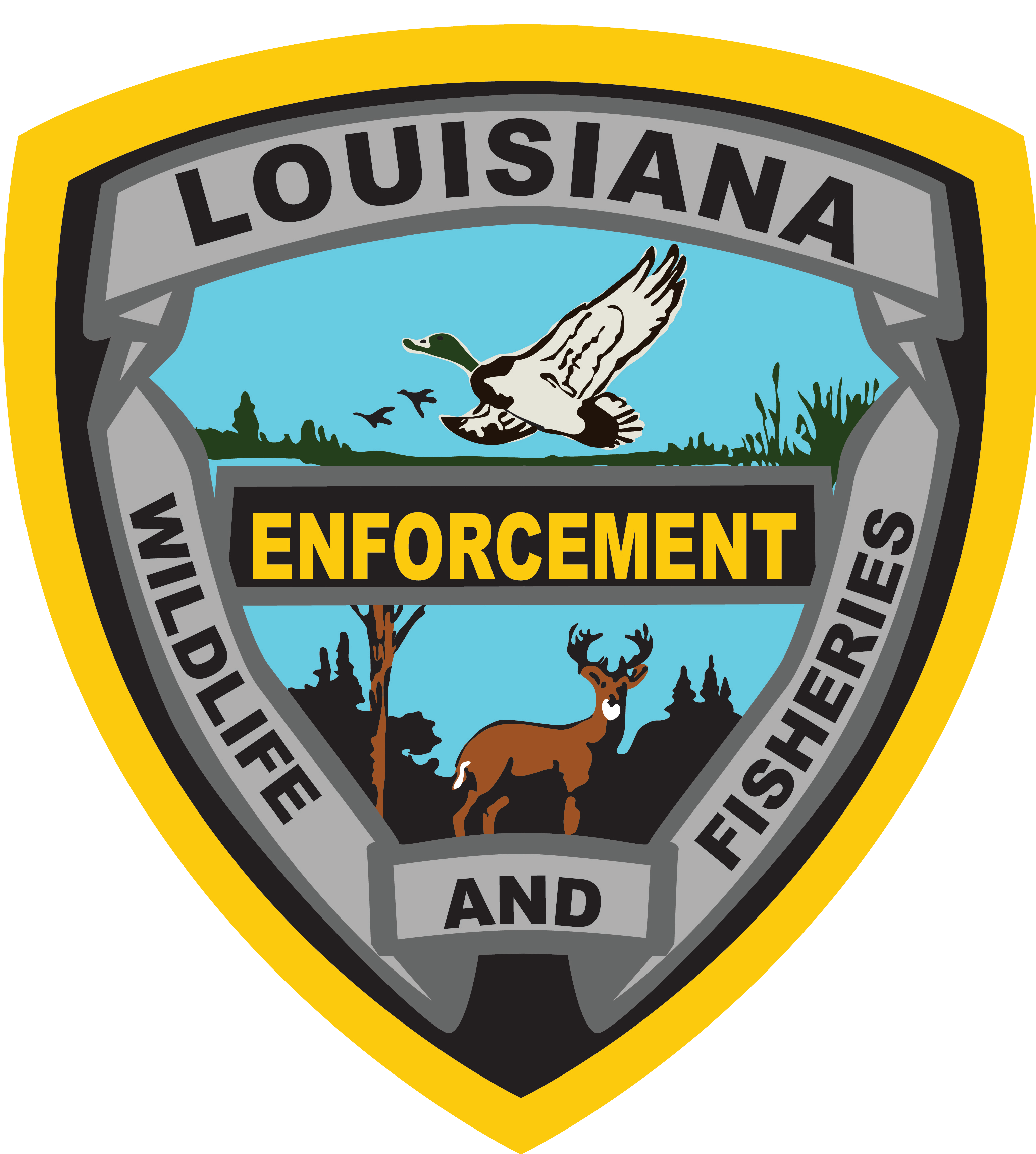 Enforcement shield image