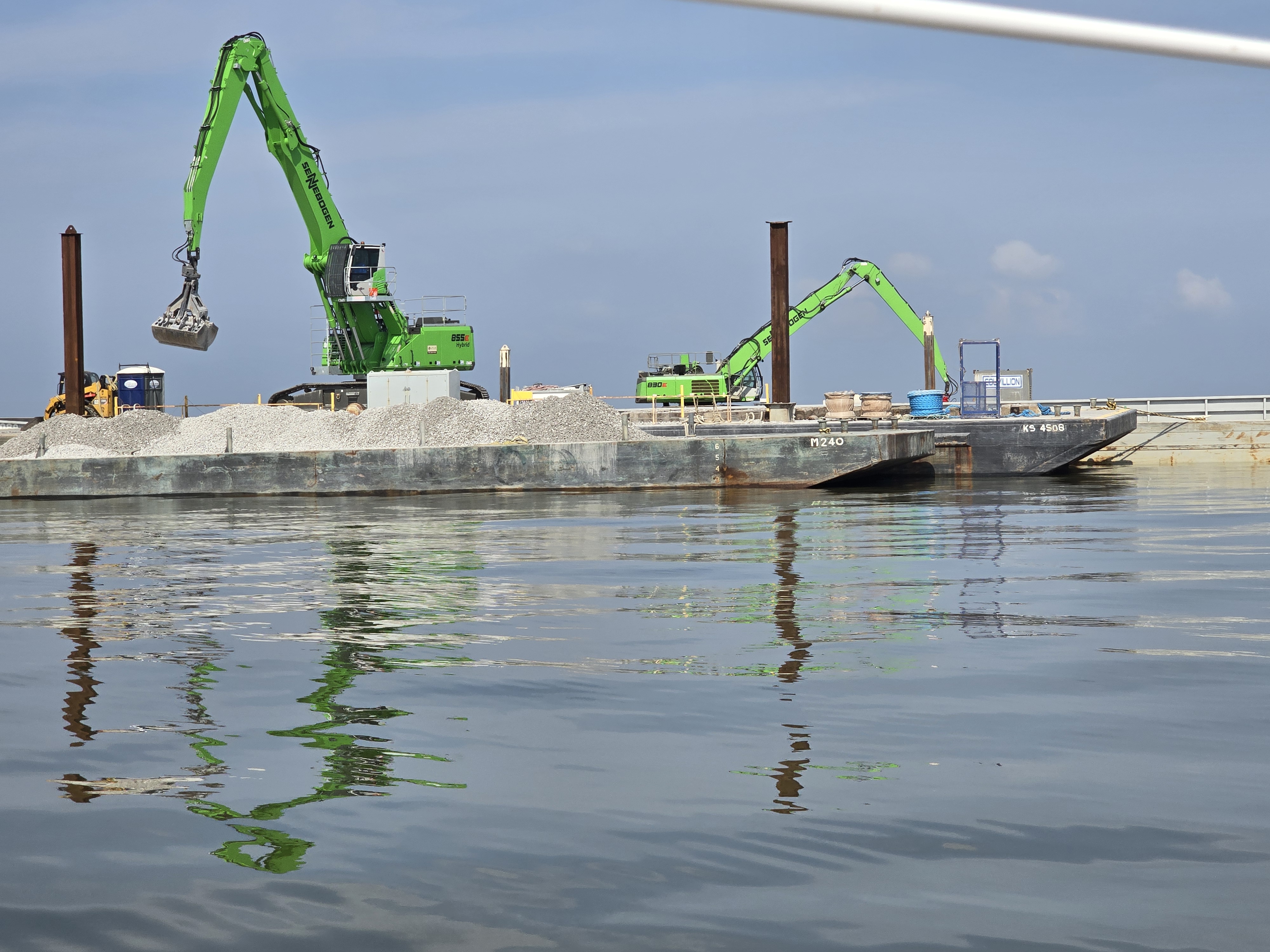 morgan harbor cultch plant