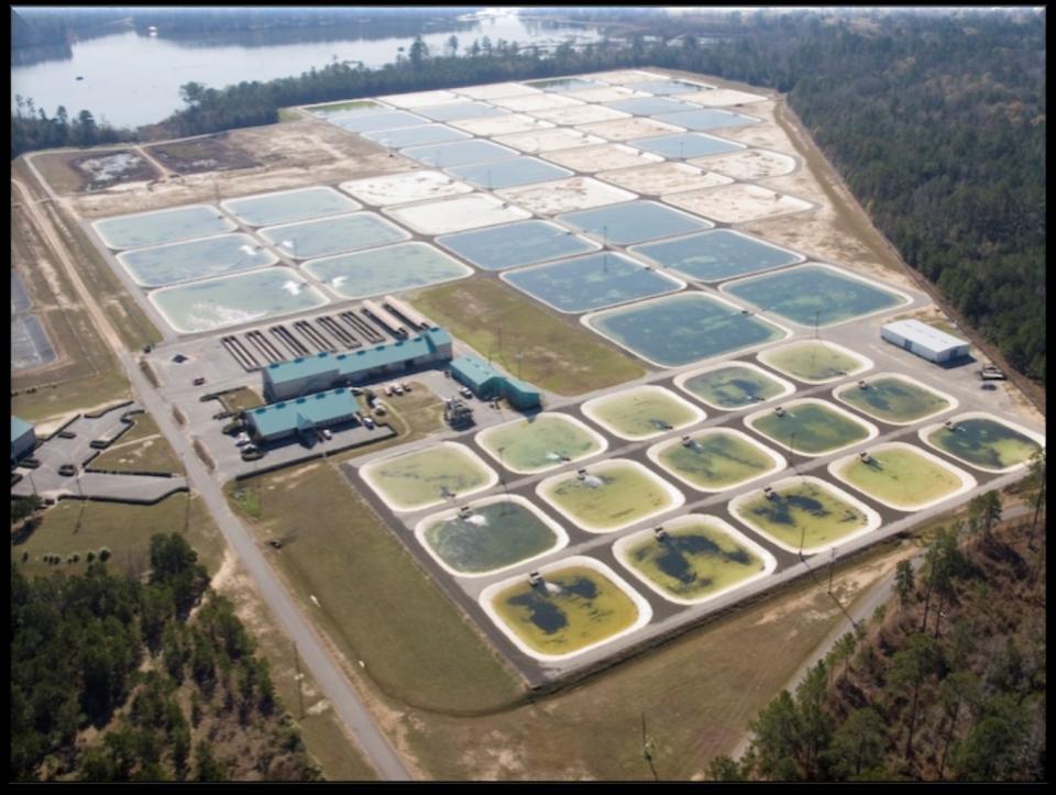 LDWF to Host Open House on March 30 at Booker Fowler Fish Hatchery